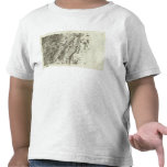 Colmar t-shirts