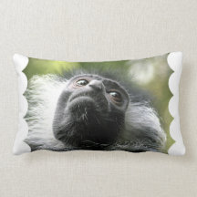 Colobus Monkey Pillow