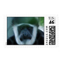 Colobus Monkey Postage Stamp