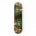 Cologne Cathedral with sun Skateboard