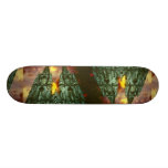 Cologne Cathedral with sun Skateboard