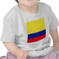Colombia High quality Flag Tshirt