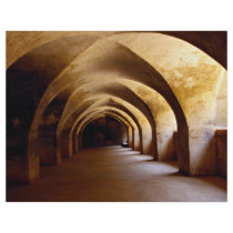 Colonel Bailey's Dungeon, Sriringapatana, India Flyer