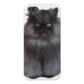 Colonel Meow Phone Case Covers For iPhone 5