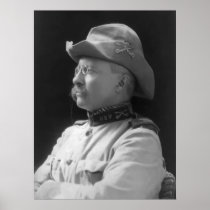 Colonel Roosevelt Poster