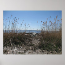 Colonial Beach 1 Print