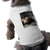 Colonial Nightclothes pet clothing