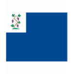 Colonial Privateer Flag (Connecticut Naval Ensign)