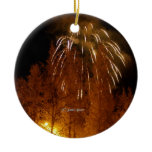Colony Christmas Dec. 12 2009  #03 Christmas Ornament