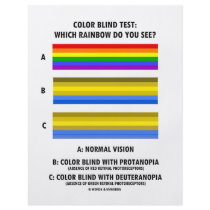 Color Blind Test (Colors Of Rainbow Vision Test) Full Color Flyer