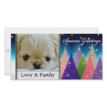 Color burst Christmas tree photo card template photo cards by aslentz Color burst Christmas tree photo card template photo cards