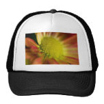 Color Burst Mesh Hats