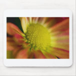 Color Burst Mouse Pad