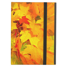 Color Burst of Fall Leaves Autumn Colors iPad Folio Case