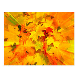 Color Burst of Fall Leaves Autumn Colors Postcard