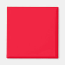 Color Code It Visual Identifiers Adaptive Living Fridge Magnet