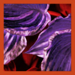 color, contrast, supernatural, artificial, plants,