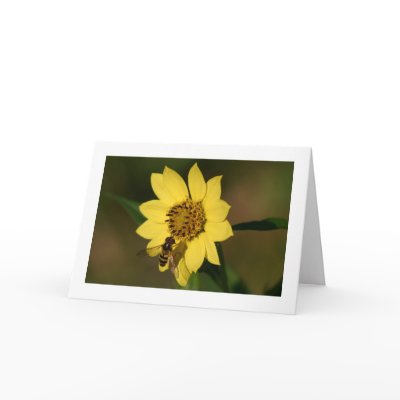 Color coordination greeting cards by alberthartley