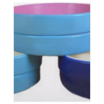 color_core_price letterhead