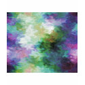 Color Crazy t-shirts