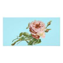 Color de rosa rosado del vintage en la aguamarina  tarjetas fotograficas personalizadas