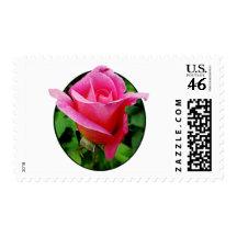 Color de rosa rosado oscuro sello