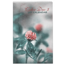 Color Duo 3 - 2011 calendar