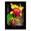 Color Explosion posters by SherryHolderHunt Color Explosion posters