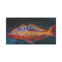 color fish canvas prints
