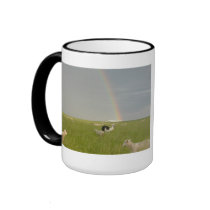 Color Guard 2 mug by serenity_ii Color Guard 2 mug