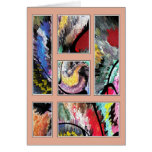COLOR ILLUSION  #12/C cards