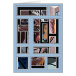COLOR ILLUSION  #15/C cards