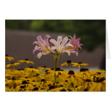 Color in a Sea of Yellow Greeting Card