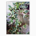 Color Ivy cards by creativeworks Color Ivy cards