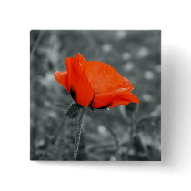 Color key Poppy Button