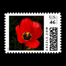 Color Me RED postage