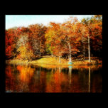 Color of Autumn posters