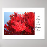 Color of Sweet Autumn Love! art prints Red Leaves
