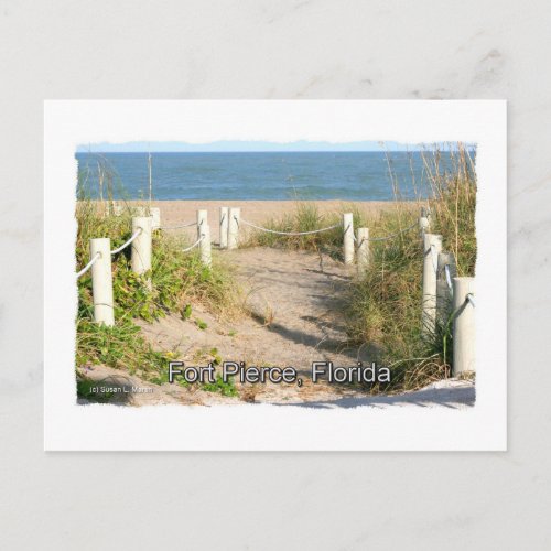 Color picture of beach dune walk Ft. Pierce, FL postcard