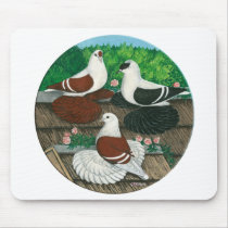 Color Pigeon Trio mousepads by diane_jacky Color Pigeon Trio mousepads