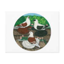 Color Pigeon Trio postcards by diane_jacky Color Pigeon Trio postcards