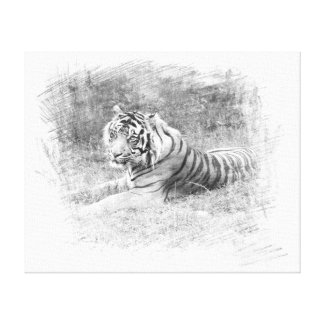 This wrapped canvas features a digitally rendered fine charcoal sketch of a Sumatra Tiger, an endangered species in Sumatra, Indonesia.