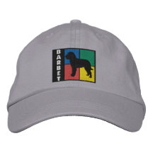 Color Squares Barbet Embroidered Hat