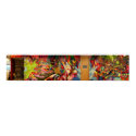 Color Therapy Mural @ Zazzle posters by robgreenleaf Color Therapy Mural @ Zazzle posters