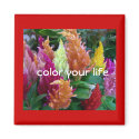 Color your life magnets by riverme Color your life magnets