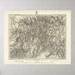 Colorado 10 print