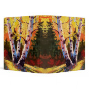 Colorado Art Binder