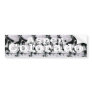 Colorado Aspen Bumper Stickers