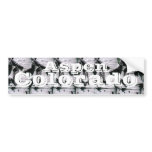 Colorado Aspen Bumper Stickers