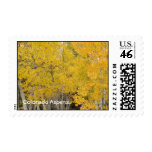 Colorado Aspens stamps
